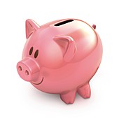 Piggy bank,illustration
