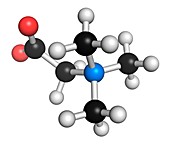 Betaine molecule