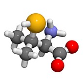Penicillamine drug molecule