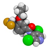 Roflumilast COPD drug molecule