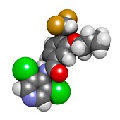 Roflumilast COPD drug molecule