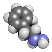 Phenelzine antidepressant molecule
