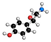 Octopamine stimulant drug molecule