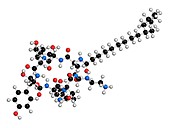 Caspofungin antifungal drug molecule