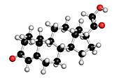 Deoxycorticosterone hormone molecule