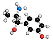 Metaraminol hypotension drug molecule