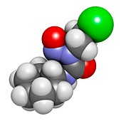 Lomustine brain cancer chemotherapy drug