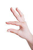 Human hand in a measuring gesture