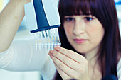 Lab assistant holding multi pipettes