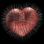 Steel heart with spikes,illustration