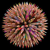 Colouring pencils,illustration