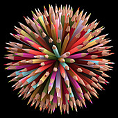 Colouring pencils,illustration