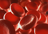 Red blood cells,illustration