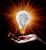 Human brain in shape of lightbulb