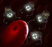 Nanobots and red blood cell,illustration