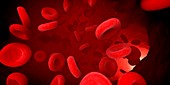 Red blood cells,illustration