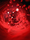 Red blood cells,illustration