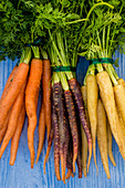 Heritage carrots