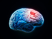 Human brain with microchip,illustration