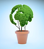 Pot plant in shape of Earth,illustration