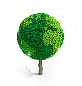 Tree in shape of Earth,illustration