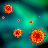 Influenza virus (H1N1),illustration