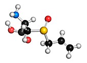 Allicin garlic molecule