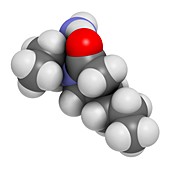 Brivaracetam anticonvulsant drug molecule