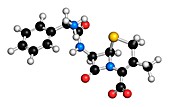 Cefalexin antibiotic drug molecule