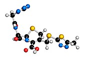 Cefazolin antibiotic drug molecule