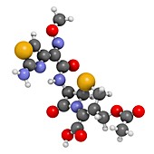 Cefotaxime antibiotic drug molecule