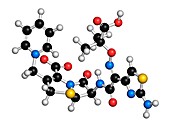 Ceftazidime cephalosporin antibiotic drug