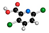 Clopyralid herbicide molecule