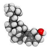 Vitamin D2 molecule