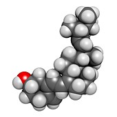 Vitamin D2 molecule