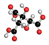 Hydroxycitric acid molecule