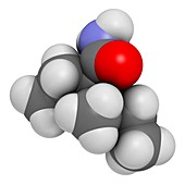 Valnoctamide sedative drug molecule