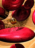 Nanobot and red blood cell,illustration