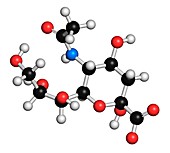 Sialic acid molecule