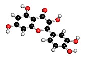 Quercetin plant molecule