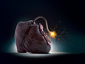 Cardiovascular disease,illustration