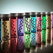 Test tubes with DNA,illustration