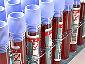 Blood samples for HIV tests,illustration