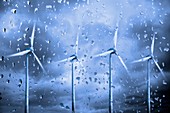 Wind turbines in the rain