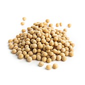 Soya beans