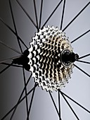 Bicycle cassette