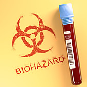 Contaminated blood