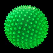 Fluorescent spiky ball