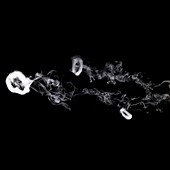 Smoke rings