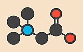 Beta-alanine molecule